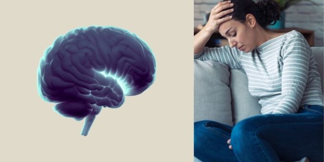 Πώς η γενικευμένη αγχώδης διαταραχή επηρεάζει της εγκεφαλικές και νοητικές λειτουργίες στις γυναίκες; -Νέα μελέτη απέδειξε αφύσικη λειτουργία του νευρικού τους συστήματος - BORO από την ΑΝΝΑ ΔΡΟΥΖΑ